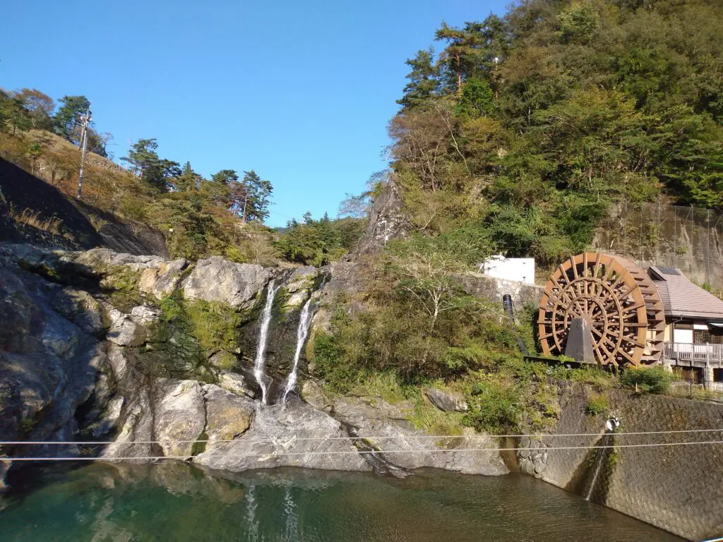 金剛 緑地 オート キャンプ 場 コレクション ペット