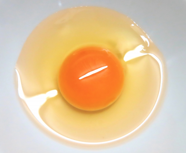 卵の黄身画像